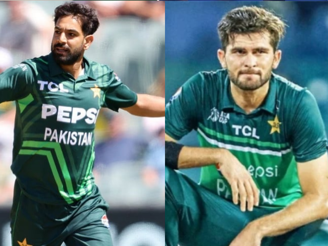 haris rauf breaks shaheen shah afridi s t20i record