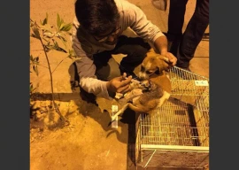 wildlife dept boasts of rescuing 66 000 animals in four years