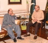 pm shehbaz meets president zardari to discuss constitutional amendments