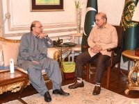 pm shehbaz meets president zardari to discuss constitutional amendments