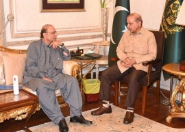 pm shehbaz meets president zardari to discuss constitutional amendments pm shehbaz meets president zardari to discuss constitutional amendments