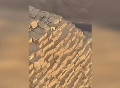 watch paraglider spots dog on top of great pyramid of giza watch paraglider spots dog on top of great pyramid of giza