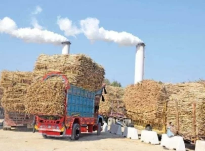 fbr to implement sugar sector track and trace system by nov 15 fbr to implement sugar sector track and trace system by nov 15