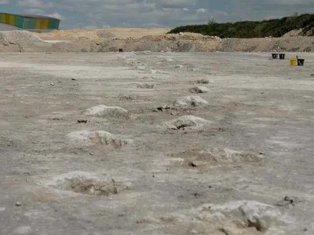 dinosaur tracks from 166 million years ago found in uk dinosaur tracks from 166 million years ago found in uk