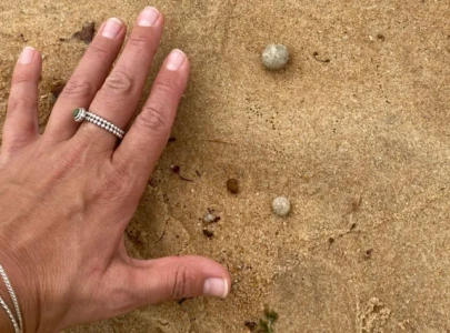 sydney beaches shut again as mysterious debris washes ashore