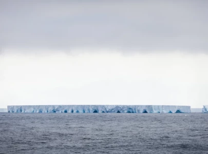 fears grow as world s largest iceberg drifts towards south georgia