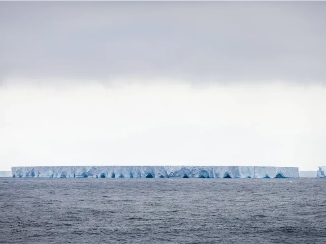 it is likely to again move towards the island soon said andrew meijers an oceanographer at british antarctic survey jean felix fayolle zeppel sipa shutterstock it is likely to again move towards the island soon said andrew meijers an oceanographer at british antarctic survey jean felix fayolle zeppel sipa shutterstock