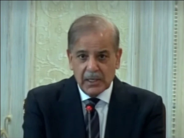 prime minister shehbaz sharif addresses the federal cabinet in islamabad photo screengrab