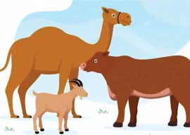 armed security for your sacrifice