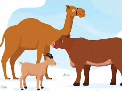 armed security for your sacrifice armed security for your sacrifice