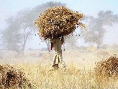 agriculture and macroeconomics