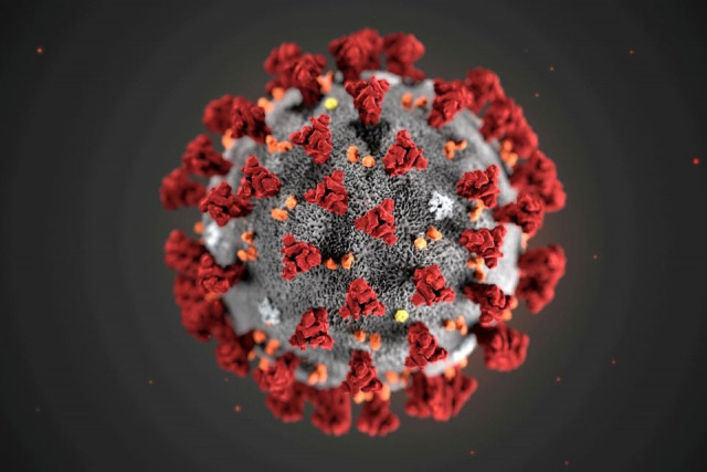 the ultrastructural morphology exhibited by the 2019 novel coronavirus 2019 ncov which was identified as the cause of an outbreak of respiratory illness first detected in wuhan china is seen in an illustration released by the centers for disease control and prevention cdc in atlanta georgia u s january 29 2020 photo reuters the ultrastructural morphology exhibited by the 2019 novel coronavirus 2019 ncov which was identified as the cause of an outbreak of respiratory illness first detected in wuhan china is seen in an illustration released by the centers for disease control and prevention cdc in atlanta georgia u s january 29 2020 photo reuters