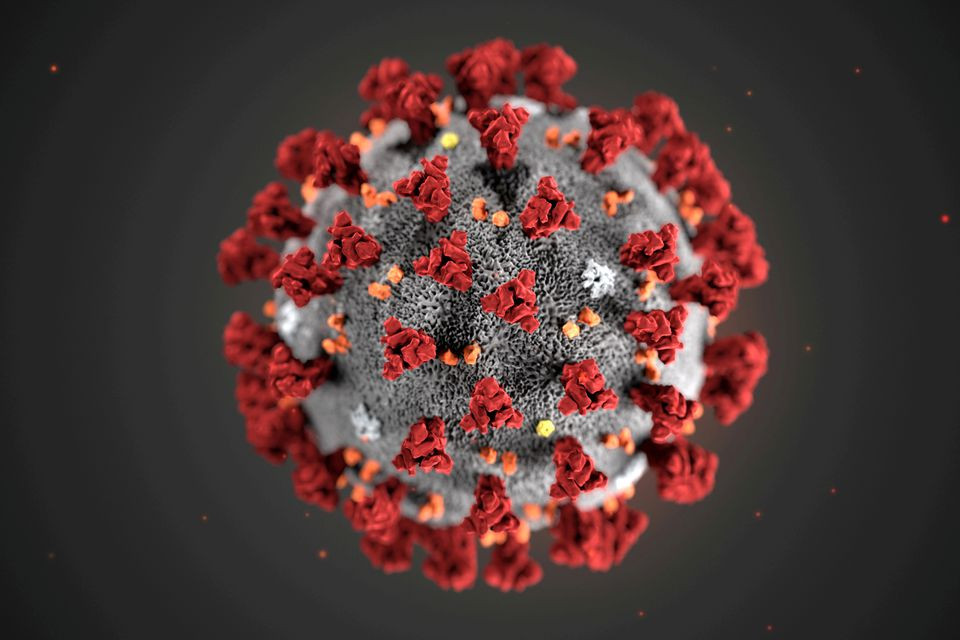 the ultrastructural morphology exhibited by the 2019 novel coronavirus 2019 ncov which was identified as the cause of an outbreak of respiratory illness first detected in wuhan china is seen in an illustration released by the centers for disease control and prevention cdc in atlanta georgia u s january 29 2020 photo reuters