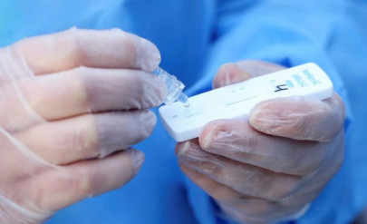 welfare dishonesty probe finds corruption in covid fund welfare dishonesty probe finds corruption in covid fund