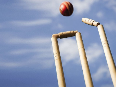 cricket falcons clinch t20 tournament