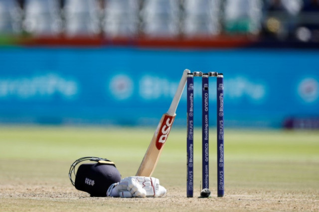 art work about cricket enthralls people photo afp art work about cricket enthralls people photo afp