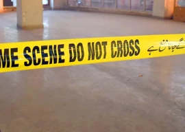 brace plates worth millions stolen from ntdc pylons