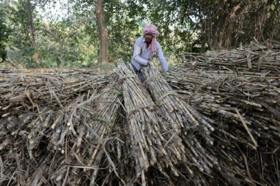 after wheat india caps sugar exports