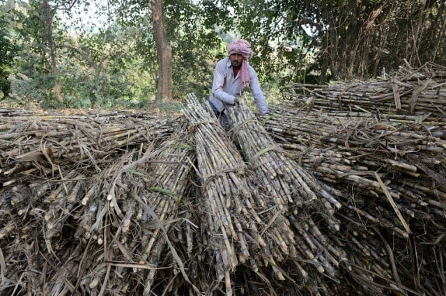 india is the world s second largest sugar exporter after brazil photo afp