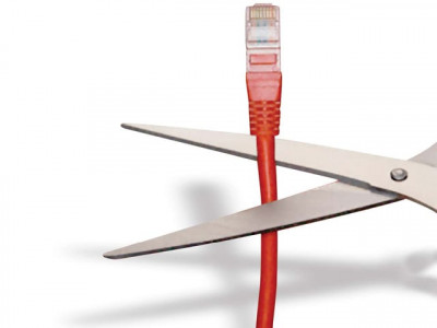 a wire cutter away from freedom