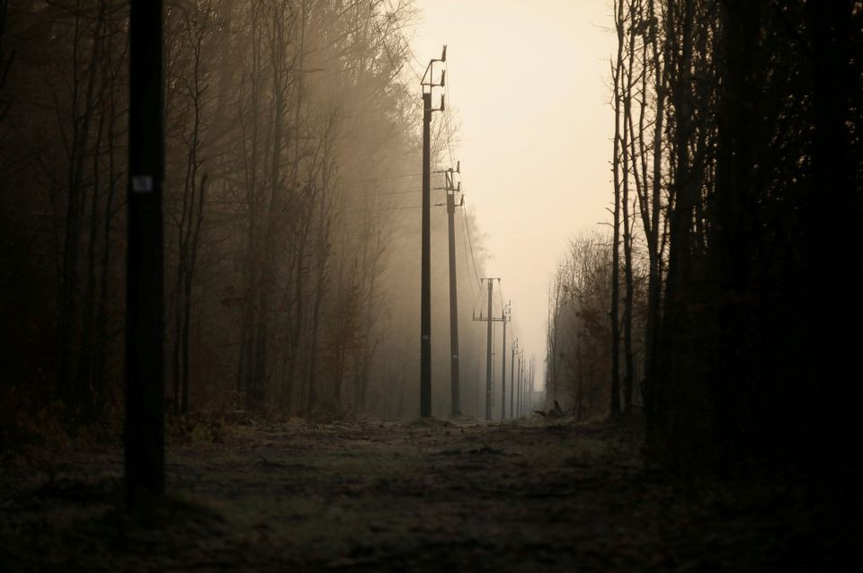 electric poles are are seen during the morning hours near the road that links the border village of bialowieza to hajnowka during the migrant crisis on the belarusian   polish border near hajnowka poland november 11 2021 photo reuters