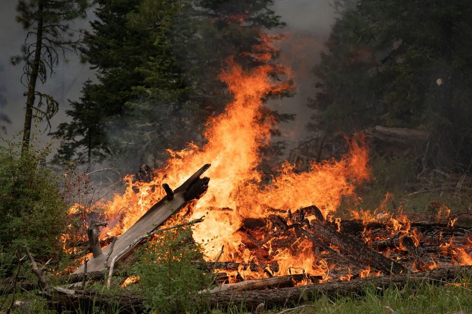 the bootleg fire burns through vegetation near paisley oregon us july 20 2021 photo reuters