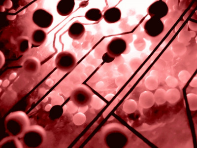 milestone scientists map genome of first pakistani man milestone scientists map genome of first pakistani man