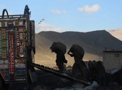 life where light hardly reaches