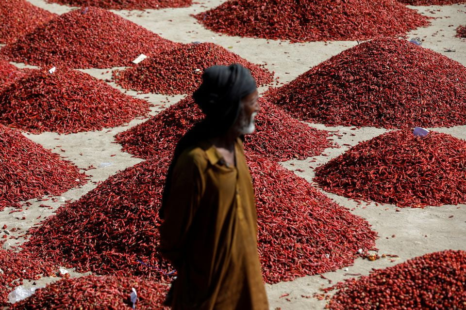 a man stands in front of mounds of red chili pepper at the mirch mandi wholesale market in kunri umerkot pakistan october 15 2022 last year at this time there used to be around 8 000 to 10 000 bags of chillies in the market said trader raja daim this year now you can see that there are barely 2 000 bags here and it is the first day of the week by tomorrow and the day after it will become even less reuters