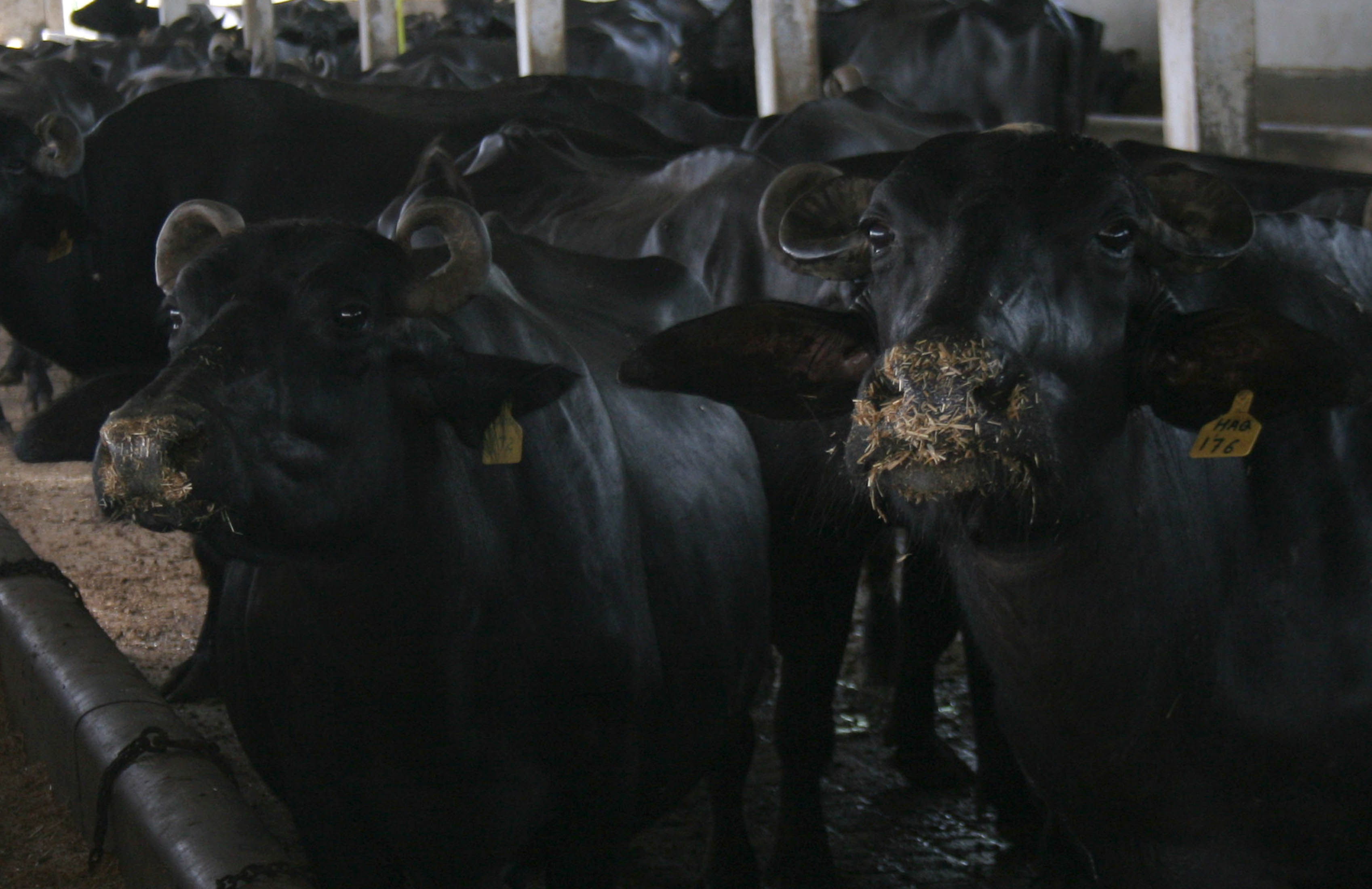 Updated Jul 25, 2010