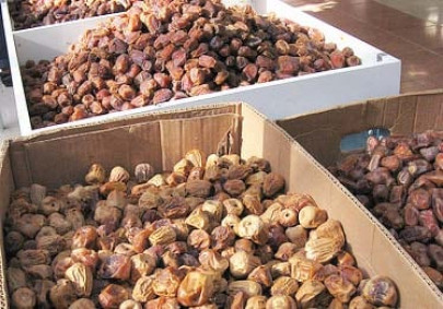 denmark to import dates from pakistan denmark to import dates from pakistan