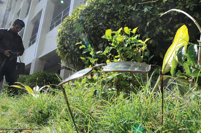 dcet principal falls to his death from college building