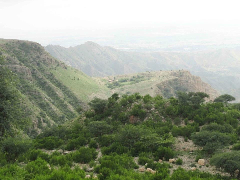 sheikh badin national park di khan photo twitter kpkupdates