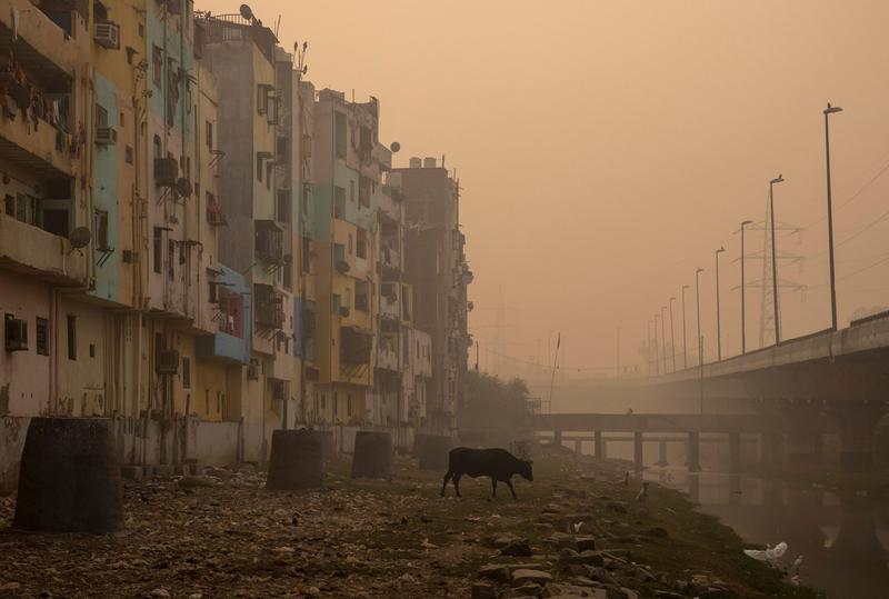 a residential area is seen shrouded in smog in new delhi indian on november 9 2020 photo reuters