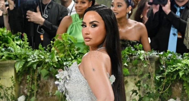 courtesy ddlovato on instagram courtesy ddlovato on instagram