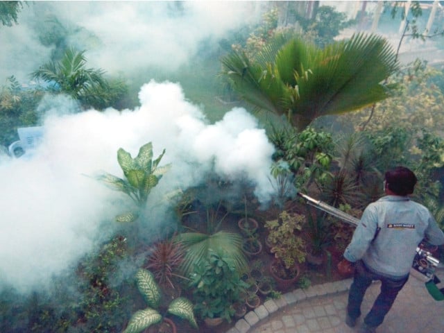 a worker conducts anti mosquito spray at a park malaria epidemics photo express