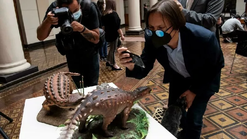 miniature models of the stegouros elengassen a species of dinosaur discovred in patagonia in 2018 is seen on display december 1 2021 in santiago photo afp miniature models of the stegouros elengassen a species of dinosaur discovred in patagonia in 2018 is seen on display december 1 2021 in santiago photo afp
