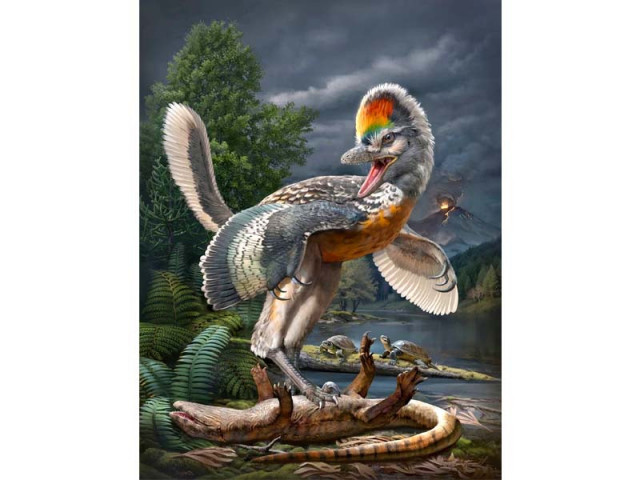 bizarre long legged bird like dinosaur has scientists enthralled bizarre long legged bird like dinosaur has scientists enthralled