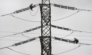 the boards of all discos have been reconstituted except for sepco and hesco where the process is being finalised the boards are structured to ensure enhanced corporate governance strategic oversight and operational efficiency photo file