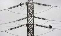 financial adviser selected for discos privatisation