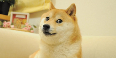 doge meme nft sells for 4 million
