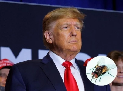 donald trump compares himself to a fly during rally speech in juneau