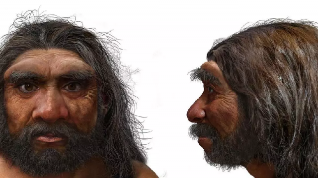 a handout photo shows an illustration of a portrait of homo longi or dragon man photo afp a handout photo shows an illustration of a portrait of homo longi or dragon man photo afp