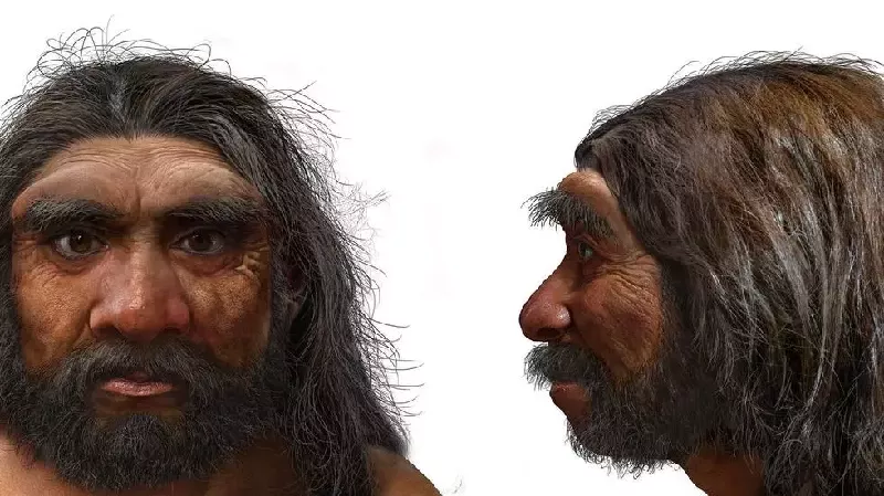 a handout photo shows an illustration of a portrait of homo longi or dragon man photo afp a handout photo shows an illustration of a portrait of homo longi or dragon man photo afp