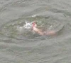 five drown as heat drives crowds to water five drown as heat drives crowds to water