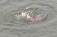 five drown as heat drives crowds to water