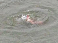 five drown as heat drives crowds to water