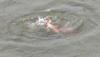 five drown as heat drives crowds to water