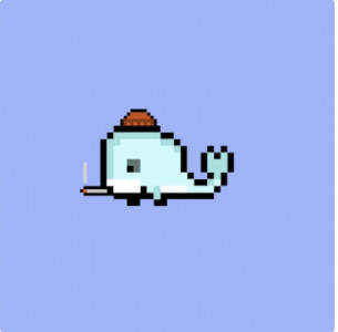 12 year old british pakistani boy earns 290 000 from whale nfts 12 year old british pakistani boy earns 290 000 from whale nfts