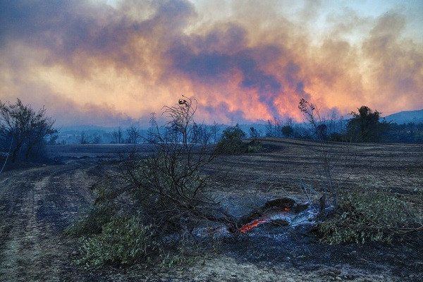 plumes of black smoke rise from the forest around manavgat 75 km 45 miles east of the resort city of antalya turkey july 28 2021 photo reuters